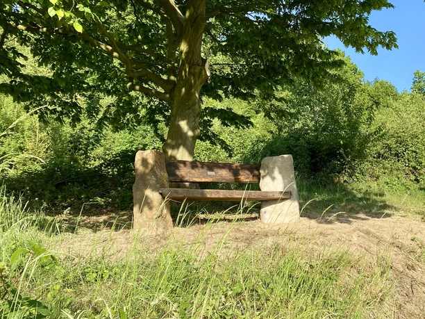 Schierenweg Bank - Copyright Gemeinde Steinhagen.jpeg Holzbank unter einem Baum in einer grünen, natürlichen Parklandschaft bei sonnigem Wetter.