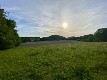 Weite Wiese unter blauem Himmel mit vereinzelten Wolken, von Bäumen und Hügeln umgeben, bei Sonnenuntergang.