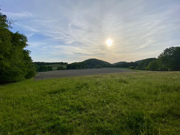 Schierenweg Fernblick - Copyright Gemeinde Steinhagen Weite Wiese unter blauem Himmel mit vereinzelten Wolken, von Bäumen und Hügeln umgeben, bei Sonnenuntergang.