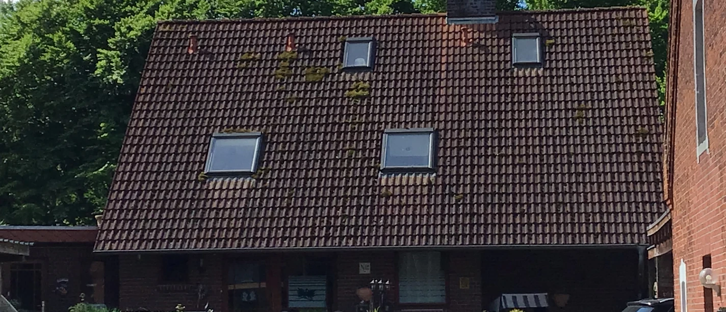 Een rood bakstenen huis met een groot schuin dak en kleine dakramen tegen een weelderig groene bosrijke achtergrond.