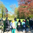 Kräuterwanderung im Rasteder Schlosspark Gruppe lauscht einer Kräuterführerin im sonnigen Schlosspark Rastede zwischen grünen und roten Bäumen.