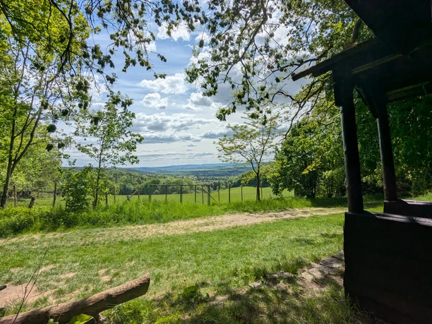 De schuilplaats ligt aan de rand van het bos, vlakbij de bosafsluiting bij de Hube.