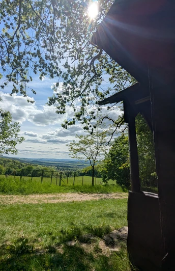 Die Schutzhütte befindet sich am Waldrand, beim Waldgehege an der Hube.