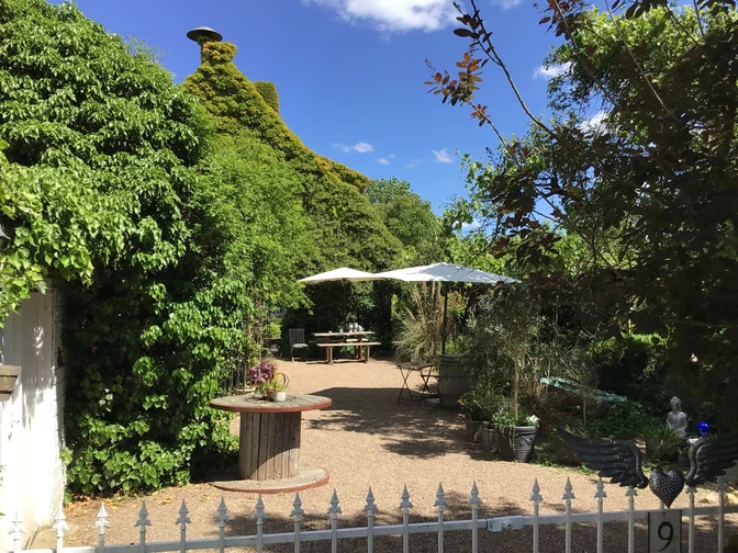 Landhaus am Deich Ein grünes Landhaus mit üppigen Kletterpflanzen, Sonnenschirmen und einem Schotterweg im Garten.