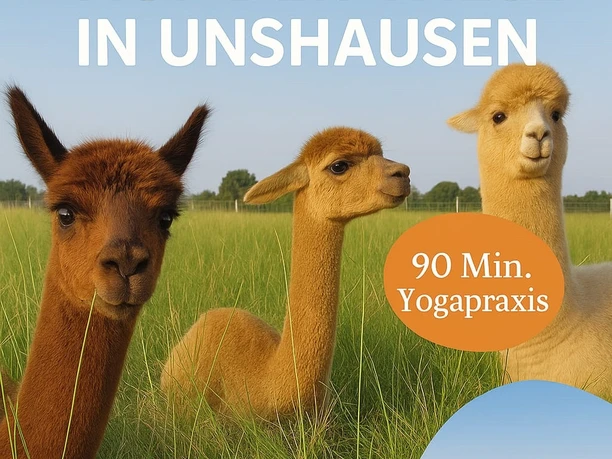 Yoga mit Alpakas