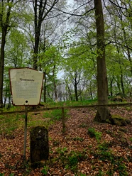 Fürstenkirche am Mühlenberg Rundweg