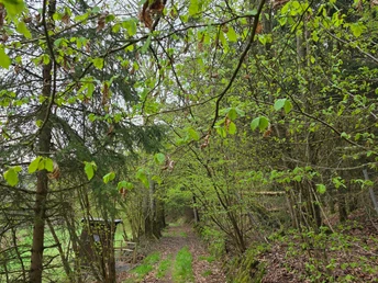 Auf dem Mühlenberg Rundweg 2