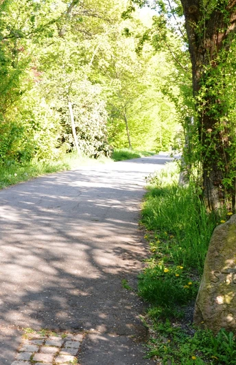 Infostele Onkel Stoot auf dem Märchenpfad im Kurpark am Greif in Salzgitter-Bad