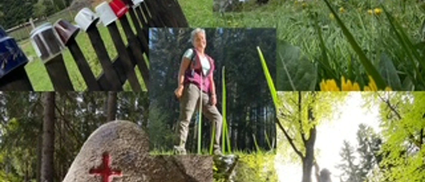Pleßberg-Teil 1
