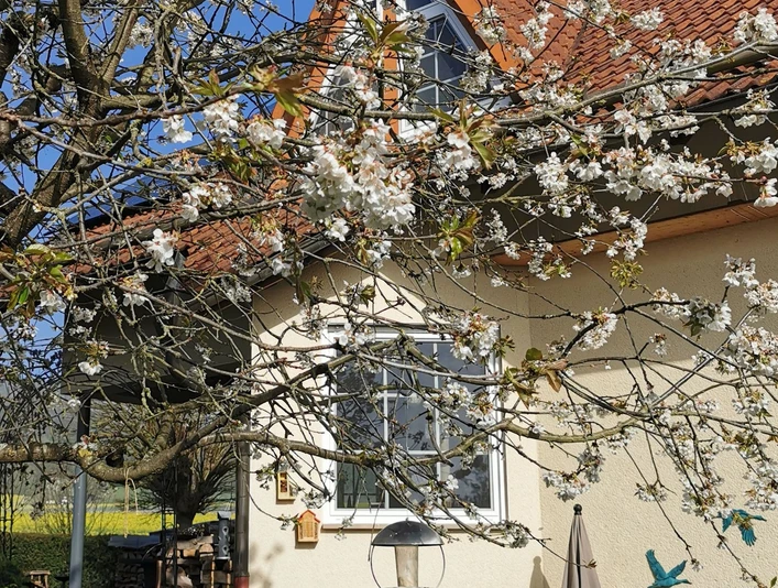Ferienwohnung Auszeit am Nationalpark