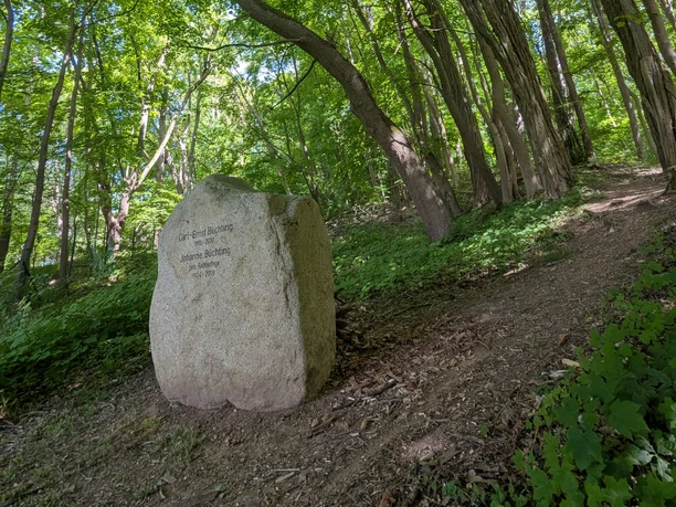 Büchting Gedenkstein_Schutzhütte_Ausblick Großer Gedenkstein am waldigen Hang neben einem Pfad unter grünen Baumkronen.
