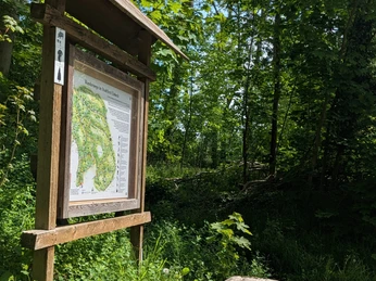 1POI Parkplatz Eichendorfallee