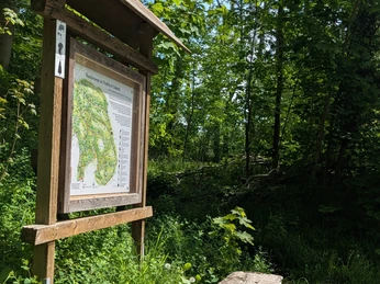 POI Parkplatz Eichendorfallee Holzbank und Infotafel mit Wanderkarte am Waldrand unter grünem Laub und blauem Himmel.