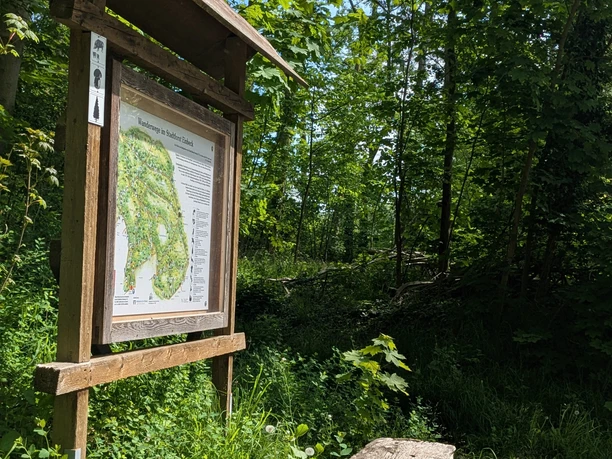POI Parkplatz Eichendorfallee Holzbank und Infotafel mit Wanderkarte am Waldrand unter grünem Laub und blauem Himmel.