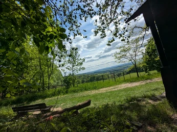 Hamburger Hütte Sitzbank am Waldrand nahe der Hamburger Hütte mit weitem Blick über grüne Hügel und Felder.
