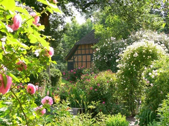 Meldorf-DLM-Rosengarten.jpg
