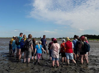 Nationalpark-Haus Dangast Was lebt denn da im Watt 1.jpg