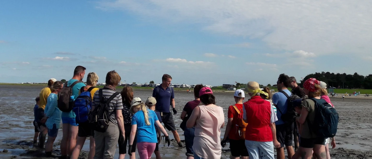 Nationalpark-Haus Dangast Was lebt denn da im Watt 1.jpg