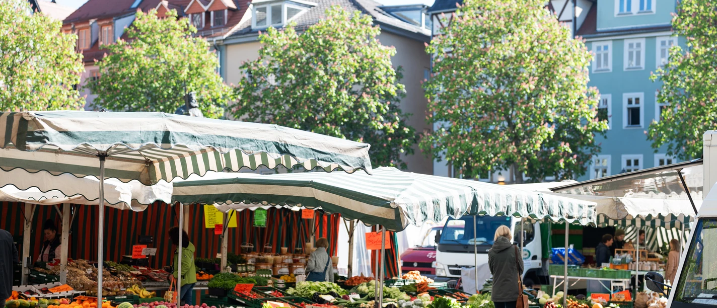 Stand auf dem Jenaer Wochenmarkt mit Kisten voll Gemüse und Obst, dazwischen Kunden und ein Händler