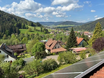 Klosterquelle, Aussicht Klosterreichenbach