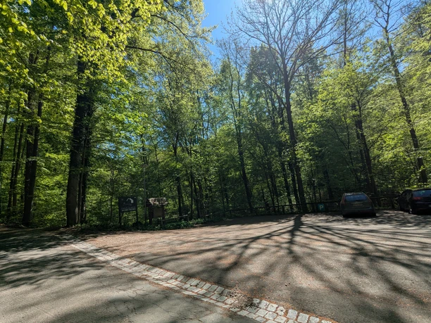 Parkplatz an den Teichen, Infotafel VitalWege Parkplatz am Waldrand mit Infotafel der VitalWege, umgeben von dichtem Laubwald und Sonnenlicht