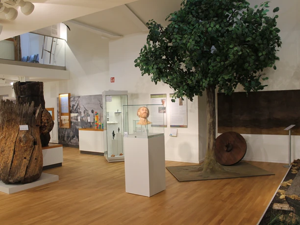 Emsland Archäologie Museum - Museen an der Koppelschleuse, Meppen ©Emsland Tourismus GmbH (6).JPG Innenraum des Archäologiemuseums Meppen mit Ausstellungsstücken aus Holz, Glasvitrine und Baummodell.