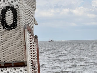 StrandkorbSchillig.png