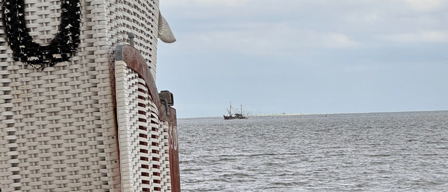 StrandkorbSchillig.png