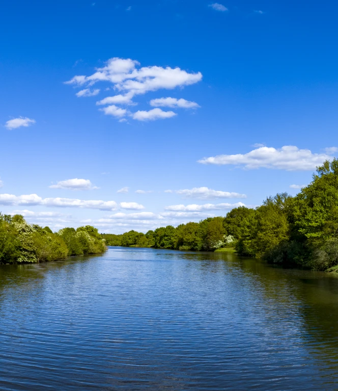 Das Emsland von oben – Borkener Paradies, Emslandschaft, Panorama ©Emsland Tourismus GmbH (3).jpg
