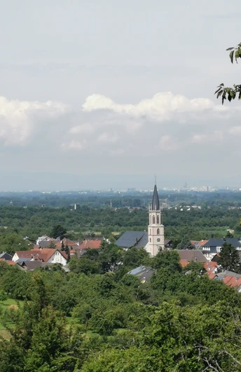 Aussicht vom Ge(h)nuss-Wegle