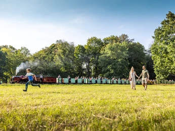 Auf Entdeckungstour mit der Parkeisenbahn Dresden