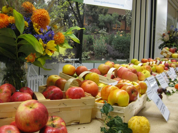 Obstvielfalt im Landkreis Neu-Ulm