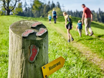 Familienausflug ins Zyberliland