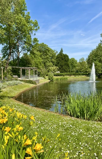 Bäckerwall, Frühjahr, Blumen