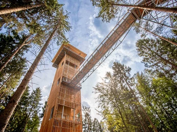 Baumwipfelpfad Heide Himmel in der Lüneburger Heide Baumwipfelpfad Heide Himmel in der Lüneburger Heide