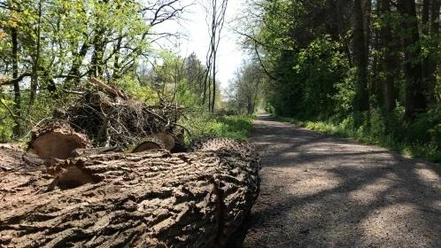 Wanderweg