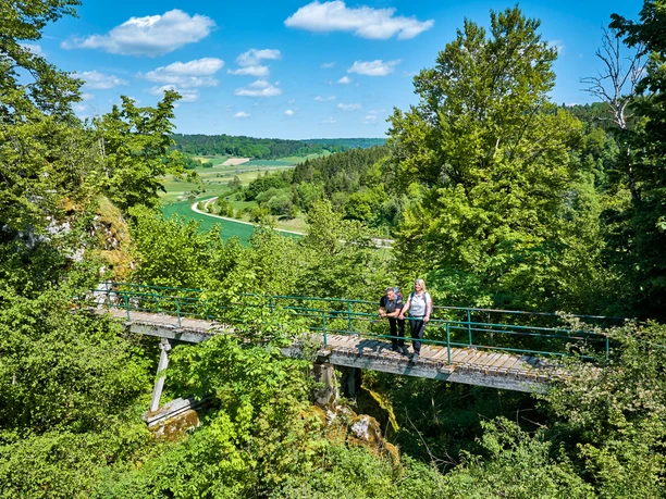 Witbergrunde Ruine Hertenstein