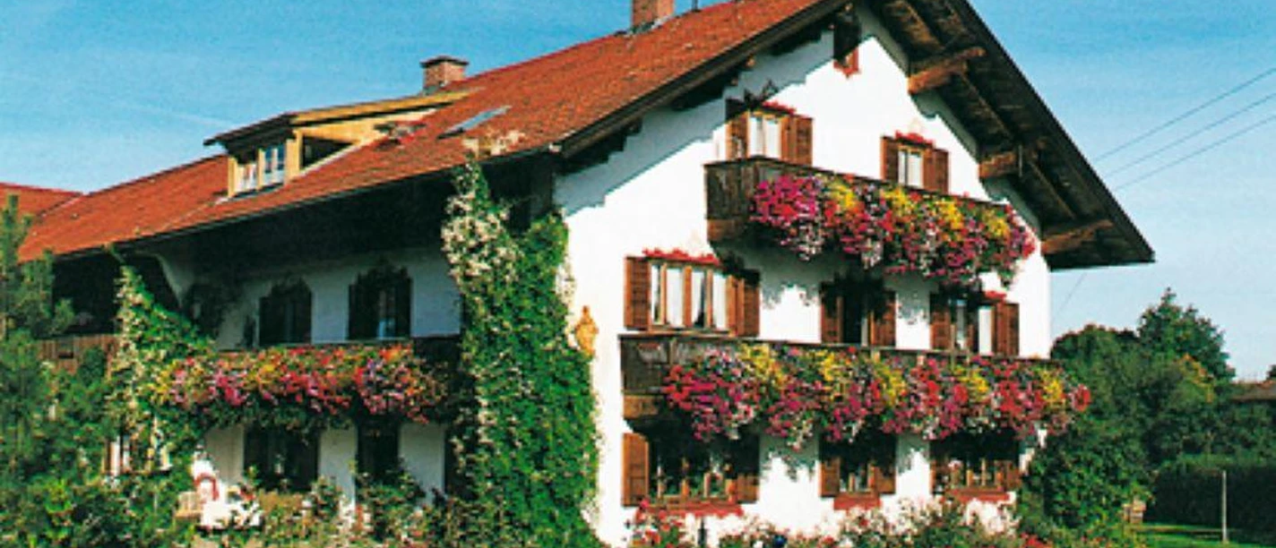 17509-AMA_Niedermeyr-neu