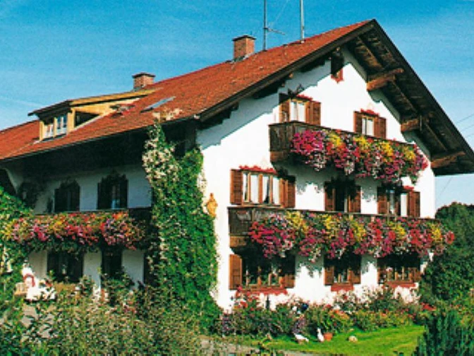 17509-AMA_Niedermeyr-neu