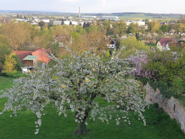 Ferienwohnung Regilturm