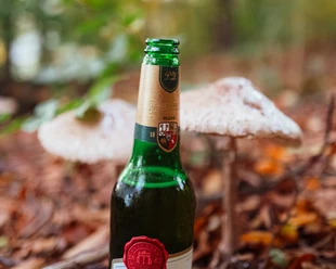 Pilz oder Pils?