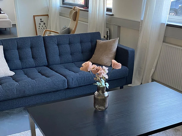 Den-Gamle-Bank-sofa Den-Gamle-Bank-sofa