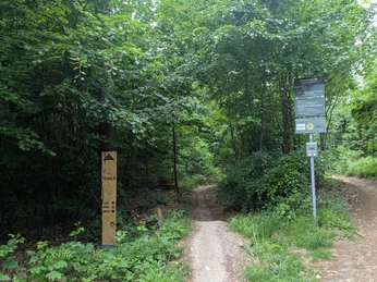 Blackberry Trails.jpg