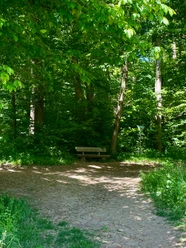 Uitzicht over een breed veld naar de stad Einbeck met een rij bomen en glooiende heuvels op de achtergrond