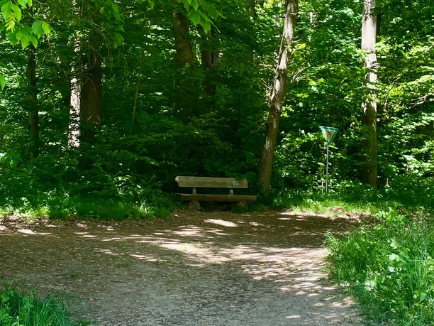 Blick über ein weites Feld auf die Stadt Einbeck mit Baumreihe und sanften Hügeln im Hintergrund