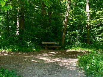 Hube_Verlängerung Eichendorfallee Blick über ein weites Feld auf die Stadt Einbeck mit Baumreihe und sanften Hügeln im Hintergrund