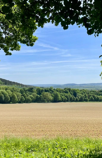 Ausblick Hube_Verlängerung Eichendorfallee Blick über ein offenes Feld mit grünen Baumreihen und sanft ansteigenden Hügeln im Hintergrund.
