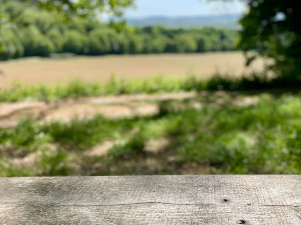 Ausblick Hube_Verlängerung Eichendorfallee Holzbank am Wegesrand mit Blick über Felder und Wälder unter blauem Himmel im Standwald Hube.