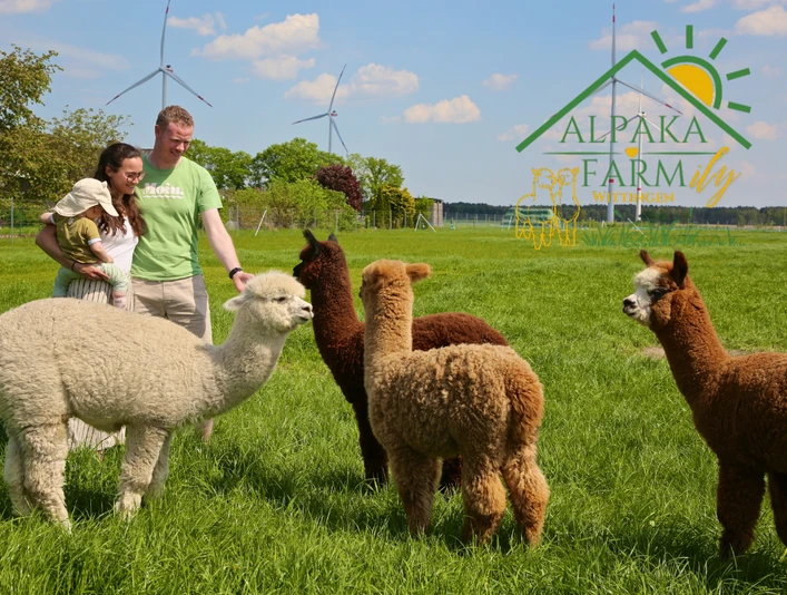 Alpakafarmily Familie Petry.png Familie Petry mit vier Alpakas auf einer Weide
