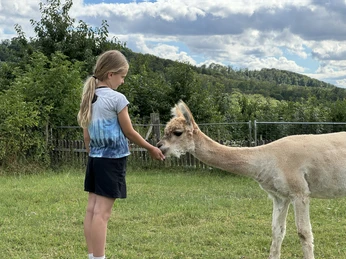Meet & Greet mit Alpakas - Hannah Meet & Greet mit Alpakas - Hannah